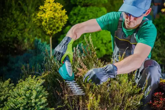 landscaping services Adena
